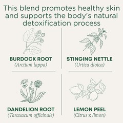 Traditional Medicinals Organic Everyday Detox Lemon Tea Skin Liver 6 Pk 11/2028