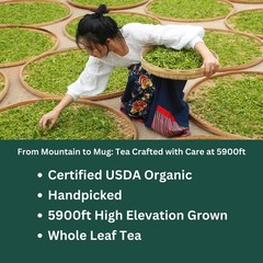 Organic Oolong Tea Bags – Whole Leaf, 20 Bags for Stress Relief Wellness