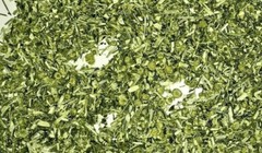 Herb Feverfew (Certified Organic) leaves herbal flowers – grown in Usa