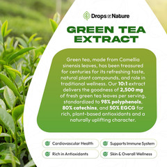 Green Tea 10:1 Extract 50% EGCG – Green Tea Liquid Drops – Vegan, 4X More Pow…
