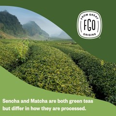 Organic Japanese Matcha + Green Tea, 100 Count, EcoConscious Tea Bags, Reseal…