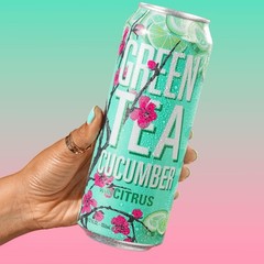 Green Tea with Cucumber and Citrus – Big Can, 22 Fl Oz (Pack of 12)