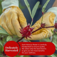 Dried Hibiscus Flower, Flor De Jamaica, Hibiscus Tea, Caffeine Free, 2.6oz