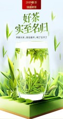 Zhejiang Longjing Tea Chinese Spring Fresh Dragon Well Long Jing Green Tea 250g