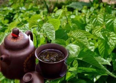 50g Natural Dried Mulberry Leaf Tea Mulberry Leaves Tea Chinese Herbal Detox Tea