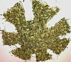 Pain Anxiety Skullcap & Feverfew Blend Mix Certified Organic Herb -1 2 4 8 lb oz
