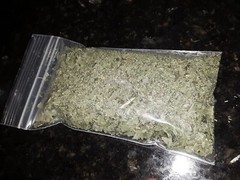 1 Cup Air Dried Broadleaf Plantain(whole plant); For Herbal Tea/Tincture/Salve.