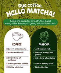MatchaDNA Matcha Latte – Sweet Powder with Milk, No 5.3oz Bag
