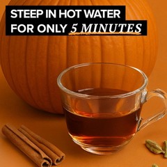 Pumpkin Spice Chai Tea Bags, Black Tea, Holiday Gift For Tea Lovers, 20ct (6pk)