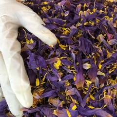 Ceylon Egyptian Cut Blue Lotus Nymphaea Caerulea Hand Picked Herbal Organic Tea