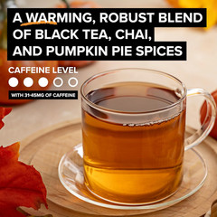 Pumpkin Spice Chai Tea Bags, Black Tea, Holiday Gift For Tea Lovers, 20ct (6pk)