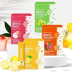 DAY& Kombucha 7 Fruit Flavors Tea Simple Light Tea 5g x 30T Korean Healthy Tea