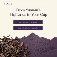 Whole Leaf Oolong Tea – 20 Organic Bags for Stress Relief & Weight Loss