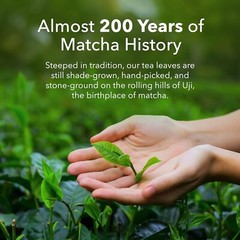 Ujido The Path of Zen Japanese Matcha Green Tea Powder Ceremonial Blend (4 OZ)