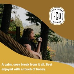 FGO Organic Chamomile Tea, 100 Count, Eco-Conscious Tea 100 Count (Pack of 1)