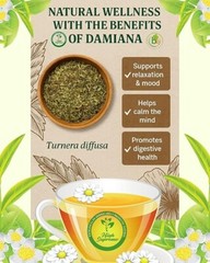 Damiana Herbal Tea – 100% Turnera diffusa – 25 Tea Bags – Natural Caffeine-Free