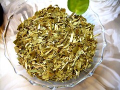 Tea Herb Infusion South American Yerba Mate and Organic Peppermint Leaf Blend