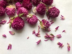 US SELLER! 8oz Food Grade Dried Loose Globe Amaranth Gomphrena Flower Herbal Tea