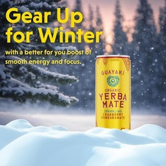 Flavorful Organic Yerba Mate – Cranberry Pomegranate Sparkling Beverage, 12-Pack