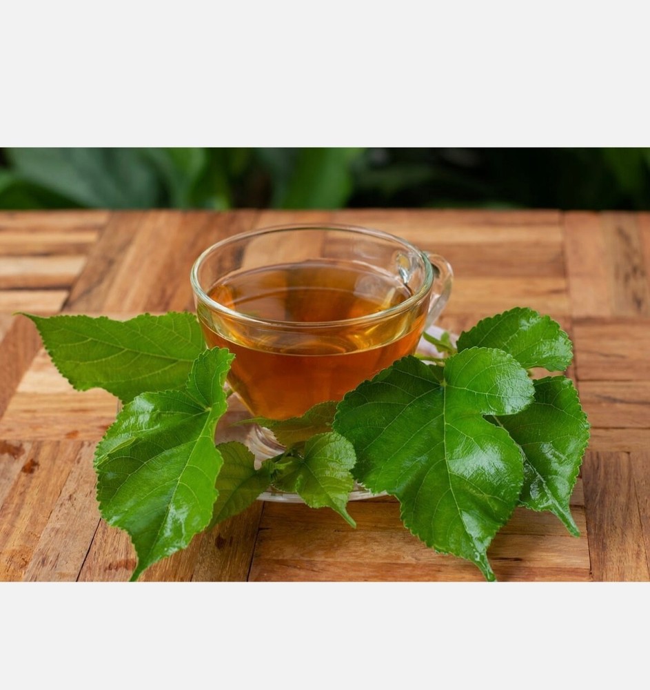Dried Mulberry Leaf Tea – 20 Grams – 20 Servings