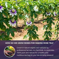 55 Count Premium Passion Flower Tea Bags 100% Natural & Pure, Supports Relax…