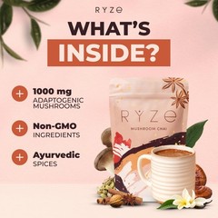 RŸZE Mushroom Chai With 6 Adaptogenic Mushrooms Beverage Powder FREE SHIPPING.