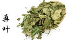 Dried Mulberry Leaf Tea 桑葉茶 16 oz – Free US Shipping