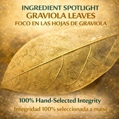 Guanábana (Soursop)Herbal Tea – 3.5 oz Dried Leaves–100% Natural– by BexpertsUSA