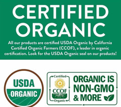Organic Turmeric Ginger Tea – Eco-Conscious Tea Bags – 100 Count