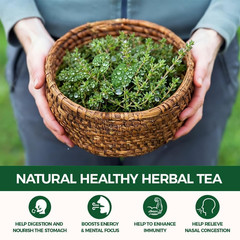 120 Count Premium Thyme Leaf Tea Bags – 100% Natural & Pure Herbal Tea, Suppo…