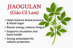 Hmong Sister’s Tea – Hmong herbal tea