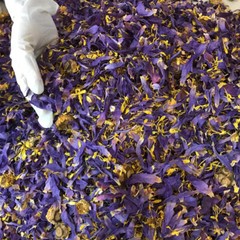 Ceylon Egyptian Cut Blue Lotus Nymphaea Caerulea Hand Picked Herbal Organic Tea