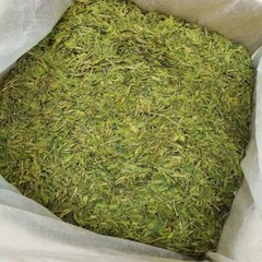 Organic West Lake Dragon Well Longjing Green Loose Tea Dragon Well Green Tea