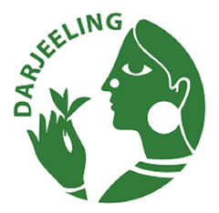 DARJEELING TEA (FRESH FIRST FLUSH 2024) TEMI SFTGFOP I SPECIAL 500 Gms