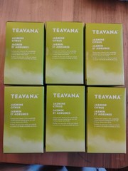 6x Teavana Jasmine Citrus Green Tea 24ct. Filterbags Best Before:11/26/25 NIB