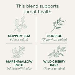 Organic Throat Coat Original with Slippery Elm, Caffeine Free, 16 Tea Bags…