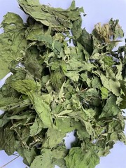 Calea Zacatechichi Mexican Dream Herb Lucid Dream Pure Dried Leaves Herbal Tea
