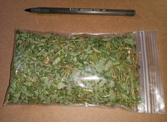 1 Cup Air Dried Stone breaker/Chamber Bitter/Chanca Piedra Herbal Tea.US grown.
