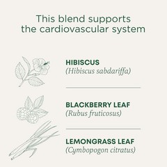 Traditional Medicinals Organic Hibiscus Herbal Tea, 6 Boxes of 16 ct BB 02/2028