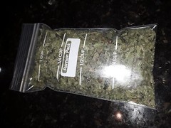 1 Cup Air Dried Broadleaf Plantain(whole plant); For Herbal Tea/Tincture/Salve.
