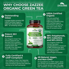 Zazzee USDA Organic Green Tea 20:1 Extract, 50% EGCG, 120 Count (Pack of 1)