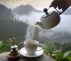 Ceylon Black Tea Loose Leaf BOPF
