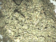 DAMIANA & CATNIP Bulk Herb Leaf Mix Blend Natural Botanical Tea – oz 1 2 4 8 oz