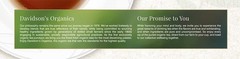 Davidson’s Classic Chai Tea 100 Count Organic Assam Black Tea Bags Spicy Blend