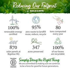 Bigelow Organic Premium Green Tea, 140 ct Great Price Free Shipping
