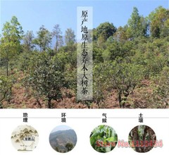 10 pcs 50g Puer Tea China Top-Grade cha and Cooked Puerh Tuocha Tea