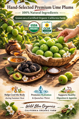 Organic Wu Mei Tea – Naturally Fermented Sour Plum Herbal Tea, California Farm D