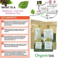 Organic Black Mulberry Leaf Tea (Morus Nigra) Wild Harvest Premium Quality