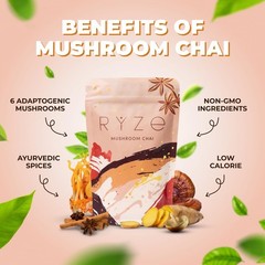 RŸZE Mushroom Chai With 6 Adaptogenic Mushrooms Beverage Powder FREE SHIPPING.