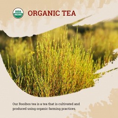 Rooibos Tea Organic, 100 Tea bags, Pure Premuim Rooibos Tea, Naturally Sweet …